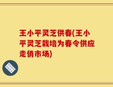 王小平灵芝供春(王小平灵芝栽培为春令供应走俏市场)