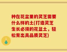 种在花盆里的灵芝需要什么样的土(打造灵芝生长必须的花盆土，轻松育出高品质灵芝)