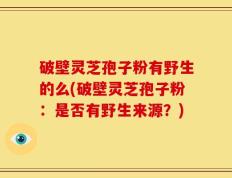 破壁灵芝孢子粉有野生的么(破壁灵芝孢子粉：是否有野生来源？)