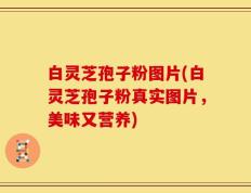 白灵芝孢子粉图片(白灵芝孢子粉真实图片，美味又营养)