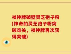 祯神牌破壁灵芝孢子粉(神奇的灵芝孢子粉突破难关，祯神牌再次获得突破)