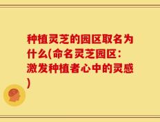 种植灵芝的园区取名为什么(命名灵芝园区：激发种植者心中的灵感)