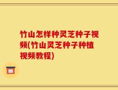 竹山怎样种灵芝种子视频(竹山灵芝种子种植视频教程)