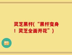 灵芝黑杆(“黑杆变身！灵芝全面开花”)