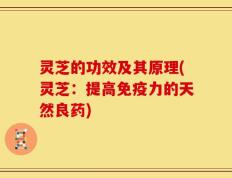 灵芝的功效及其原理(灵芝：提高免疫力的天然良药)