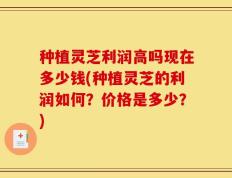 种植灵芝利润高吗现在多少钱(种植灵芝的利润如何？价格是多少？)