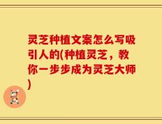 灵芝种植文案怎么写吸引人的(种植灵芝，教你一步步成为灵芝大师)