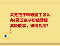灵芝孢子粉破壁了怎么办(灵芝孢子粉破壁提高吸收率，如何食用？)