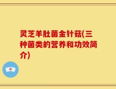 灵芝羊肚菌金针菇(三种菌类的营养和功效简介)