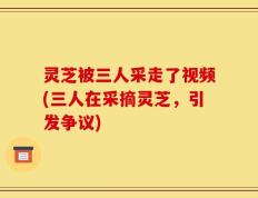 灵芝被三人采走了视频(三人在采摘灵芝，引发争议)