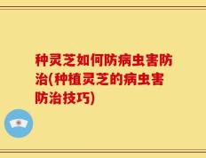 种灵芝如何防病虫害防治(种植灵芝的病虫害防治技巧)