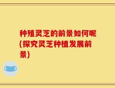 种殖灵芝的前景如何呢(探究灵芝种植发展前景)