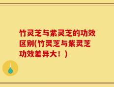 竹灵芝与紫灵芝的功效区别(竹灵芝与紫灵芝功效差异大！)
