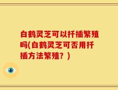 白鹤灵芝可以扦插繁殖吗(白鹤灵芝可否用扦插方法繁殖？)