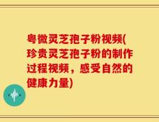 粤微灵芝孢子粉视频(珍贵灵芝孢子粉的制作过程视频，感受自然的健康力量)