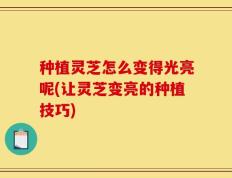 种植灵芝怎么变得光亮呢(让灵芝变亮的种植技巧)