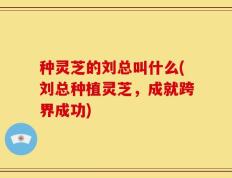 种灵芝的刘总叫什么(刘总种植灵芝，成就跨界成功)