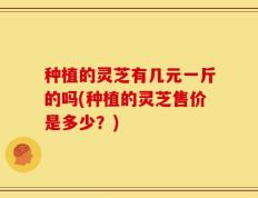 种植的灵芝有几元一斤的吗(种植的灵芝售价是多少？)