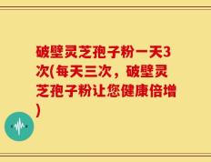破壁灵芝孢子粉一天3次(每天三次，破壁灵芝孢子粉让您健康倍增)