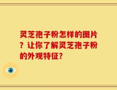 灵芝孢子粉怎样的图片？让你了解灵芝孢子粉的外观特征？