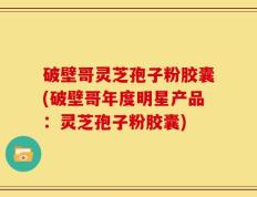 破壁哥灵芝孢子粉胶囊(破壁哥年度明星产品：灵芝孢子粉胶囊)