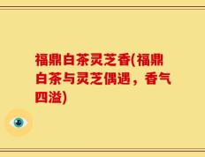 福鼎白茶灵芝香(福鼎白茶与灵芝偶遇，香气四溢)