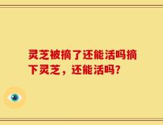 灵芝被摘了还能活吗摘下灵芝，还能活吗？