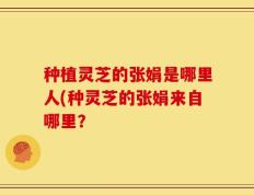 种植灵芝的张娟是哪里人(种灵芝的张娟来自哪里？