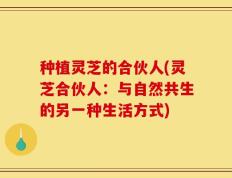 种植灵芝的合伙人(灵芝合伙人：与自然共生的另一种生活方式)