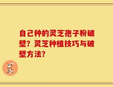 自己种的灵芝孢子粉破壁？灵芝种植技巧与破壁方法？