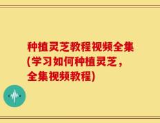 种植灵芝教程视频全集(学习如何种植灵芝，全集视频教程)