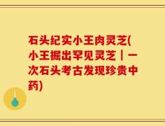 石头纪实小王肉灵芝(小王掘出罕见灵芝｜一次石头考古发现珍贵中药)
