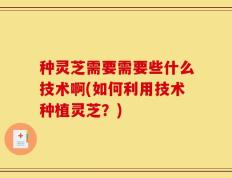 种灵芝需要需要些什么技术啊(如何利用技术种植灵芝？)