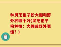 种灵芝孢子粉大棚和野外种哪个好(灵芝孢子粉种植：大棚或野外更佳？)