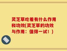 灵芝草吃着有什么作用和功效(灵芝草的功效与作用：值得一试！)