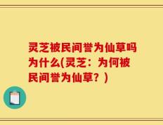 灵芝被民间誉为仙草吗为什么(灵芝：为何被民间誉为仙草？)