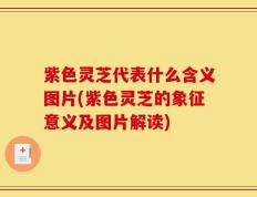 紫色灵芝代表什么含义图片(紫色灵芝的象征意义及图片解读)