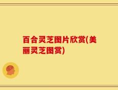 百合灵芝图片欣赏(美丽灵芝图赏)