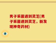 男子采菌遇到灵芝(男子采菌遇到灵芝，新发现神奇药材)