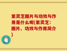 紫灵芝图片与功效与作用是什么呢(紫灵芝：图片、功效与作用简介)