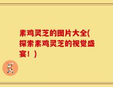 素鸡灵芝的图片大全(探索素鸡灵芝的视觉盛宴！)