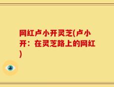 网红卢小开灵芝(卢小开：在灵芝路上的网红)