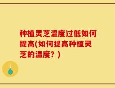 种植灵芝温度过低如何提高(如何提高种植灵芝的温度？)