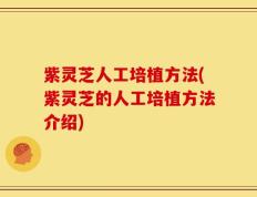 紫灵芝人工培植方法(紫灵芝的人工培植方法介绍)