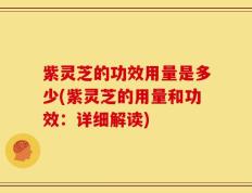 紫灵芝的功效用量是多少(紫灵芝的用量和功效：详细解读)