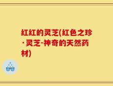红红的灵芝(红色之珍·灵芝-神奇的天然药材)