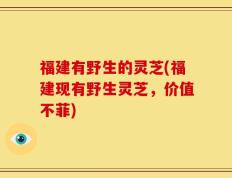 福建有野生的灵芝(福建现有野生灵芝，价值不菲)