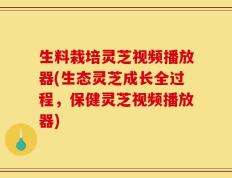 生料栽培灵芝视频播放器(生态灵芝成长全过程，保健灵芝视频播放器)
