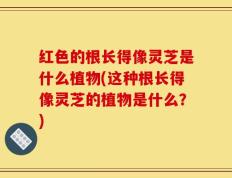 红色的根长得像灵芝是什么植物(这种根长得像灵芝的植物是什么？)