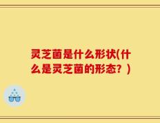 灵芝菌是什么形状(什么是灵芝菌的形态？)